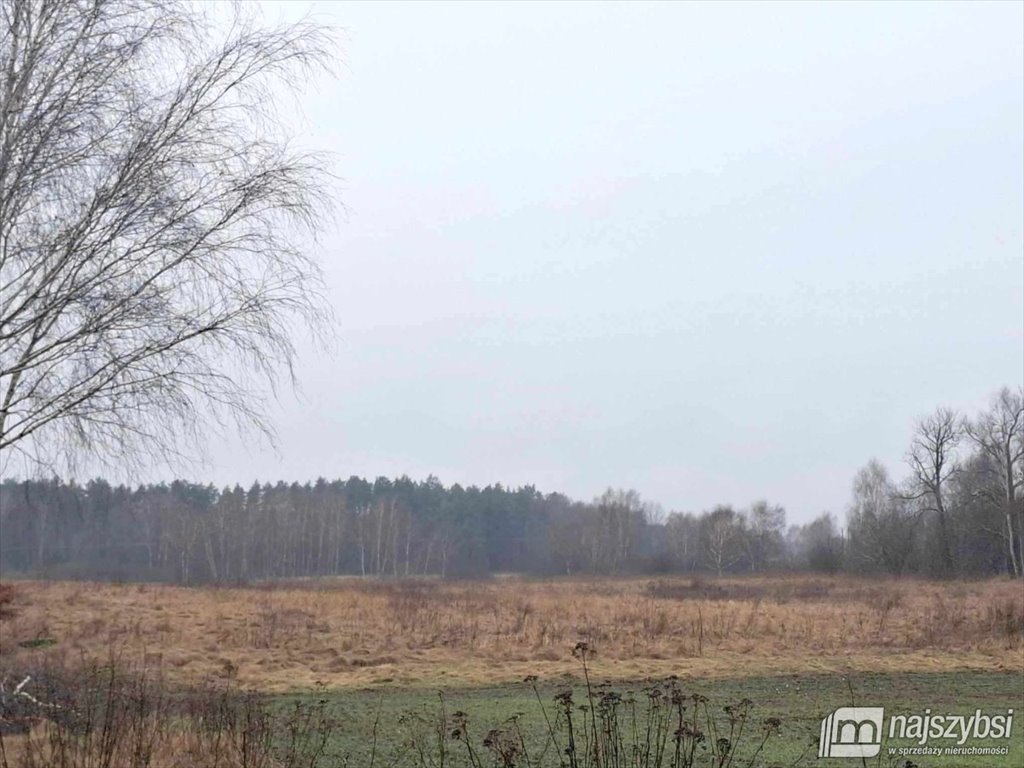 Działka rolna 18900 m² z drzewami, blisko miasta Chociwel, obrzeża  188 849m2 Foto 1