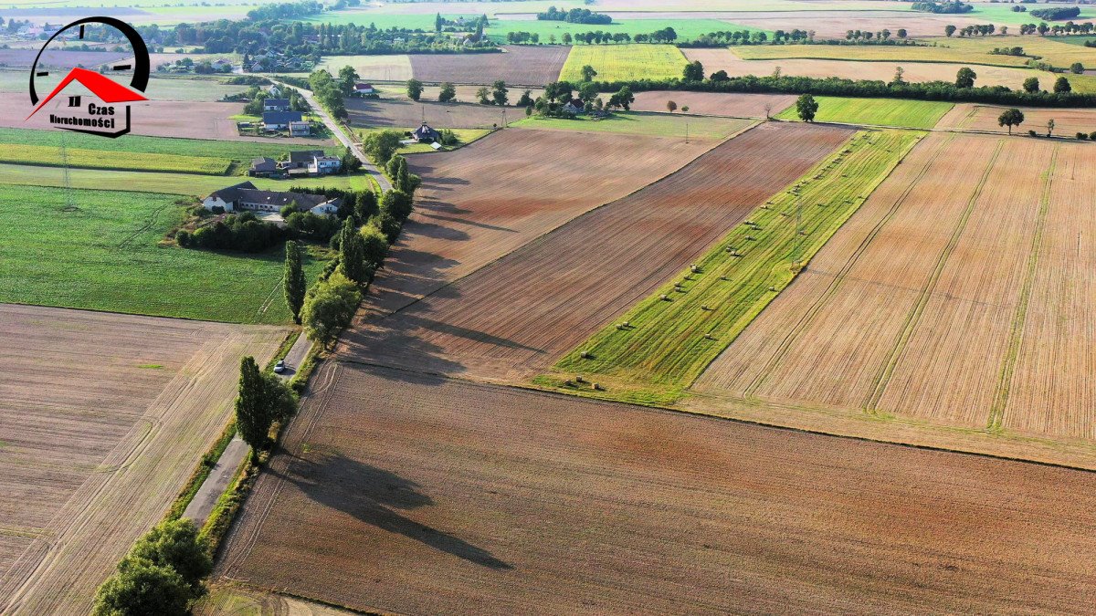 Działka gospodarstwo rolne na sprzedaż Twierdziń  3 000m2 Foto 3