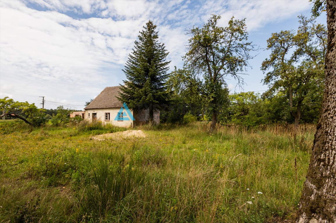 Działka budowlana na sprzedaż Borkowo Lęborskie  7 937m2 Foto 3