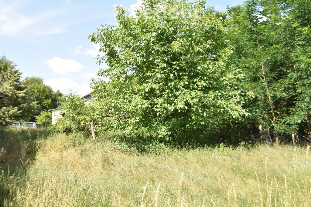 Działka budowlana na sprzedaż Osiny  4 500m2 Foto 3