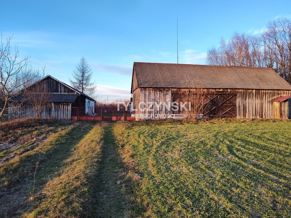 Działka rolna na sprzedaż Kaleń  40 000m2 Foto 9