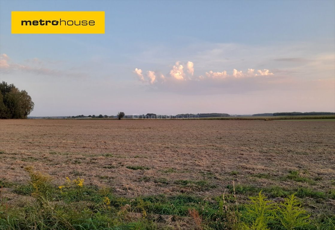 Działka inna na sprzedaż Budy Kupientyńskie  1 690m2 Foto 1