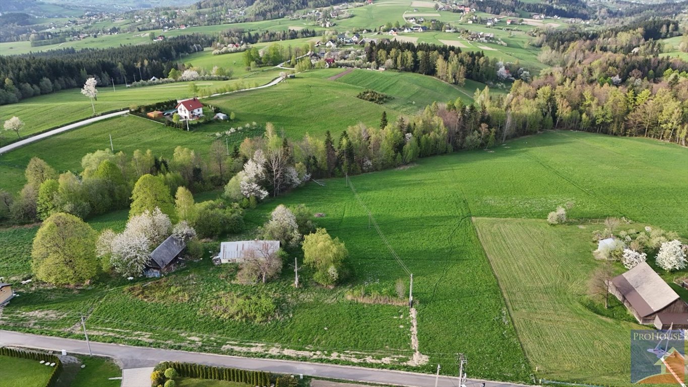 Działka budowlana na sprzedaż Stara Wieś  14 000m2 Foto 11