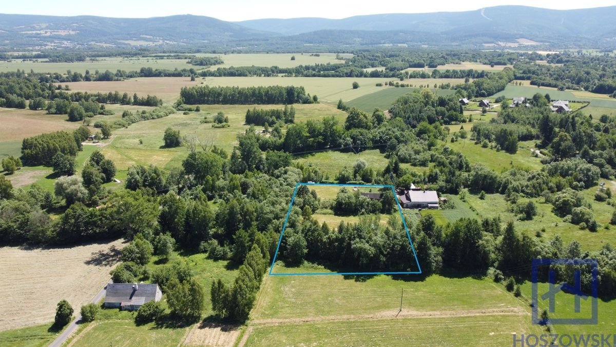 Stary dom na dużej działce 7000 m² z mediami i potencjałem Giebułtów, Giebułtówek  80m2 Foto 1