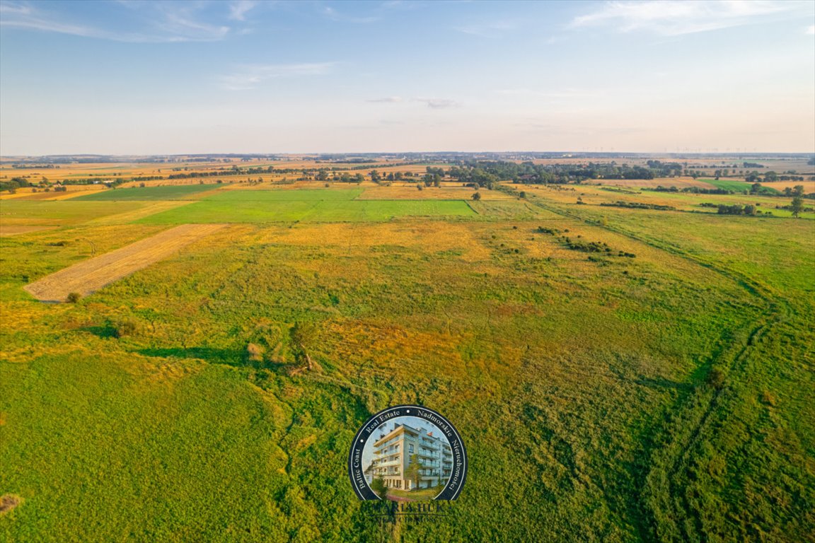 Działka gospodarstwo rolne na sprzedaż Ryszewo  13 500m2 Foto 11