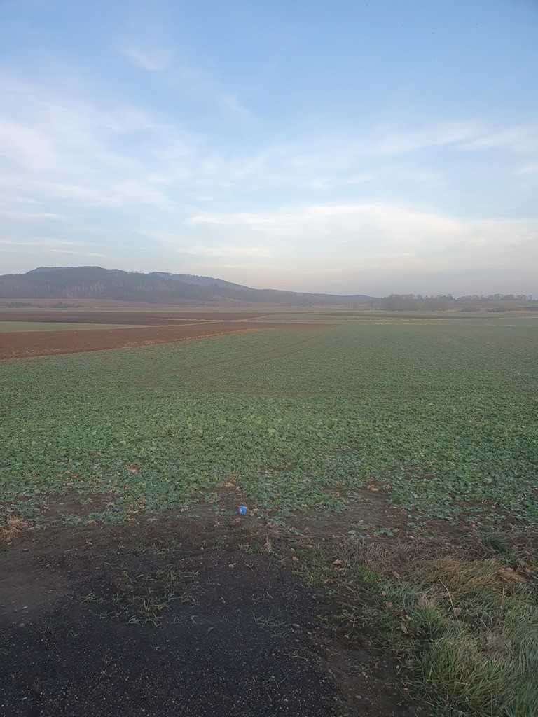 Działka inna na sprzedaż Łagiewniki, Jaźwina  25 500m2 Foto 1