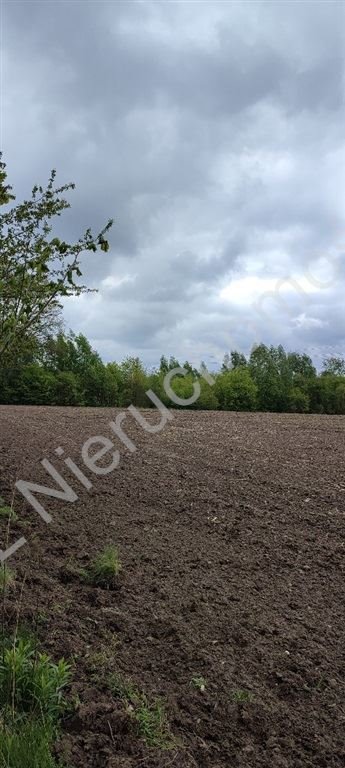 Działka budowlana na sprzedaż Radonie  39 300m2 Foto 8