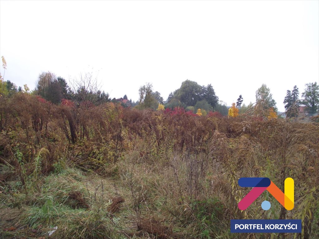 Działka budowlana na sprzedaż Droszków 1 300m2 Foto 1 Działka budowlana na sprzedaż Droszków 1 300m2 Foto 1