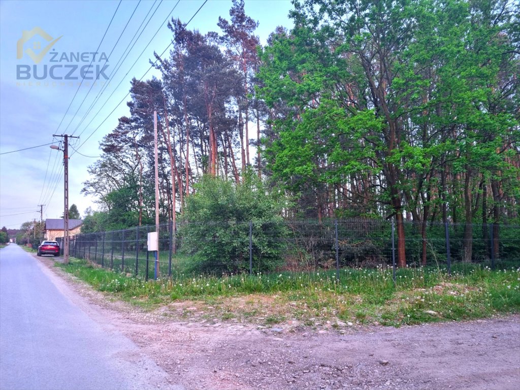 Działka leśna na sprzedaż Altanka  3 059m2 Foto 3