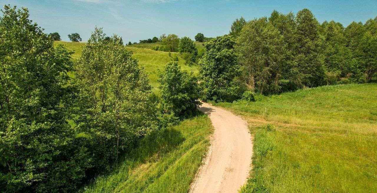 Działka rolna na sprzedaż Rogale  3 002m2 Foto 8