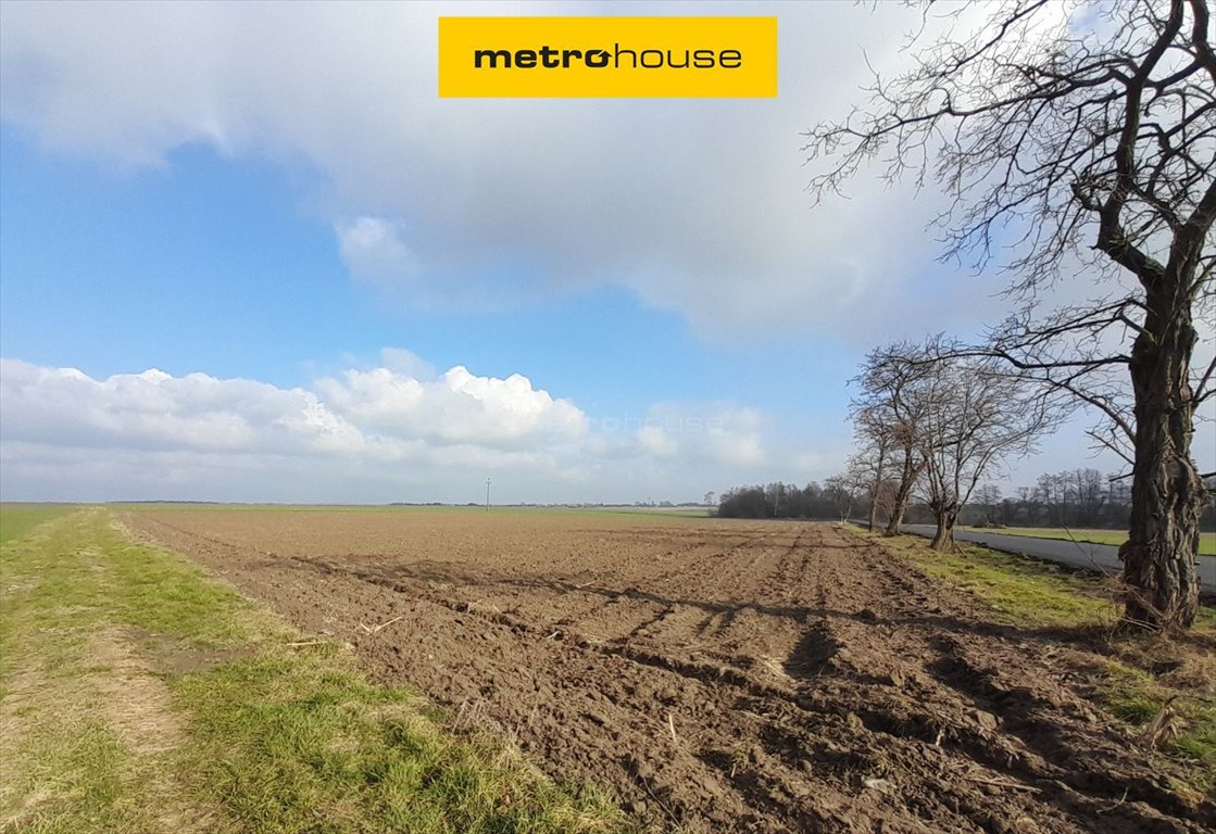 Działka rolna z możliwością zabudowy, 3036 m², blisko Oleśnicy Zarzysko  3 036m2 Foto 1