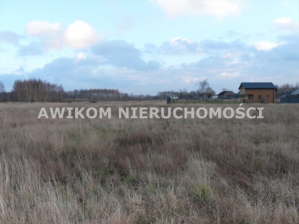Działka rolna na sprzedaż Skierniewice, Sierakowice Lewe  11 173m2 Foto 13