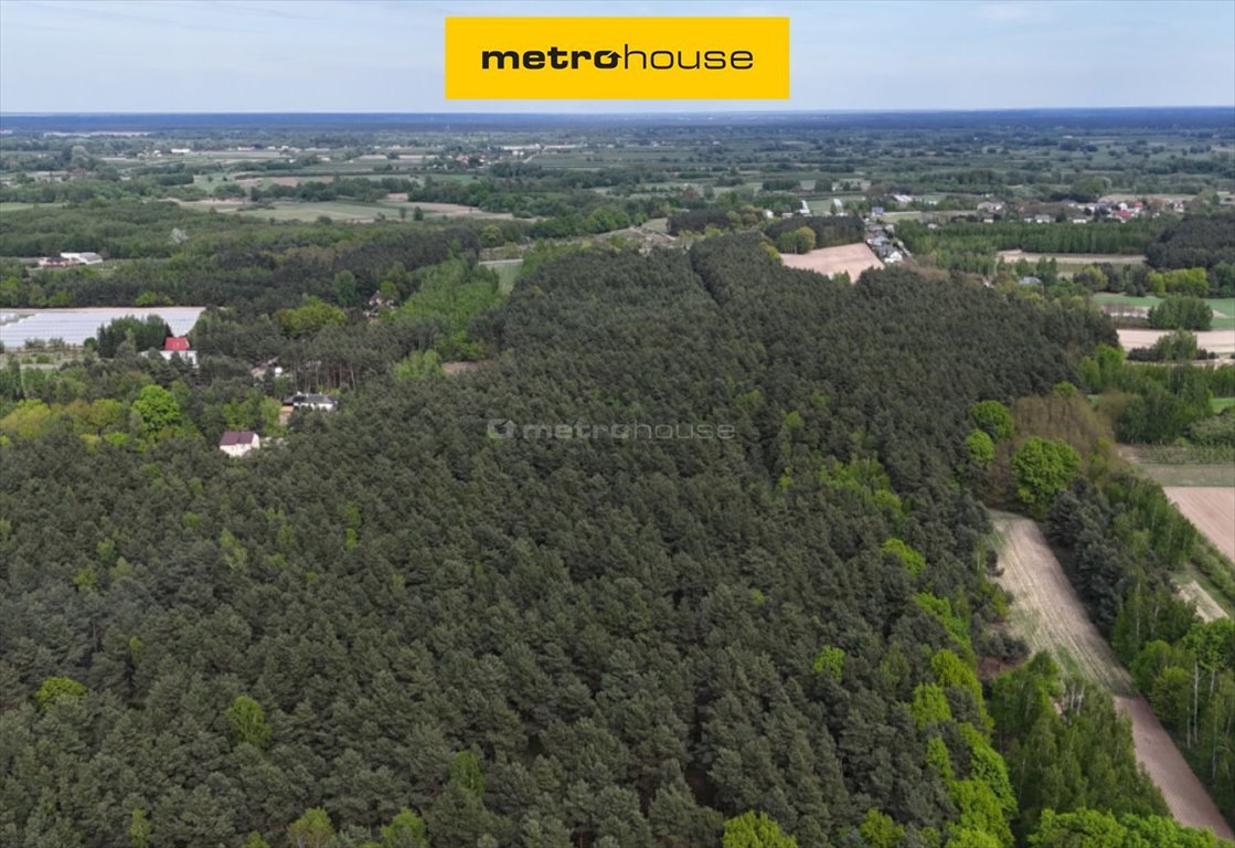 Działka leśna 22 484 m² z starodrzewem, dostęp do prądu Wilczkowice  22 484m2 Foto 1