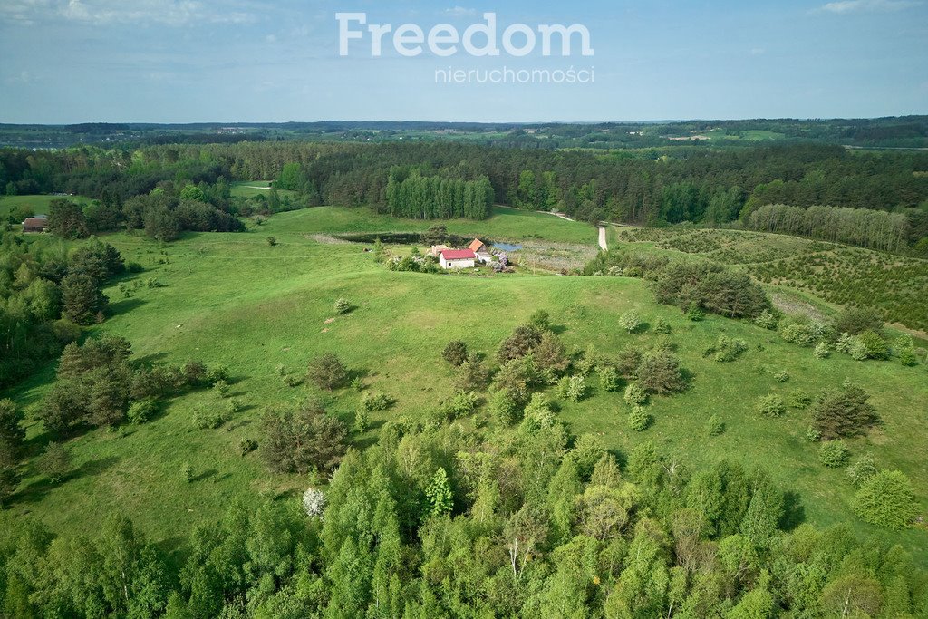 Działka budowlana na sprzedaż Kosewo  12 500m2 Foto 5