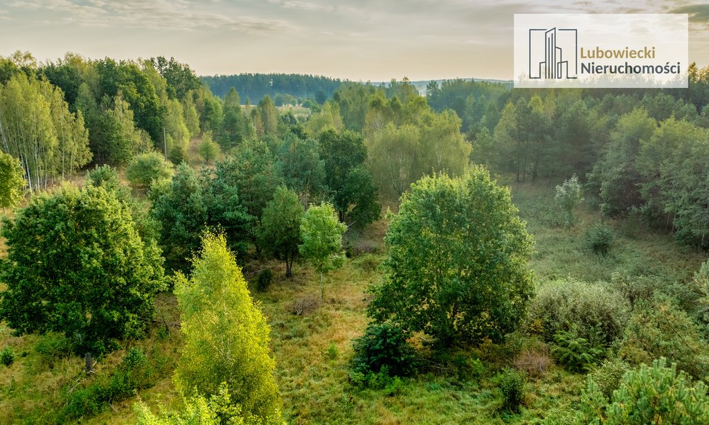 Działka budowlana na sprzedaż Siedliska  5 004m2 Foto 13