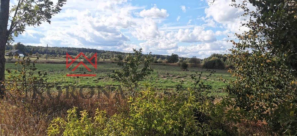 Działka budowlana na sprzedaż Markowszczyzna  8 231m2 Foto 1