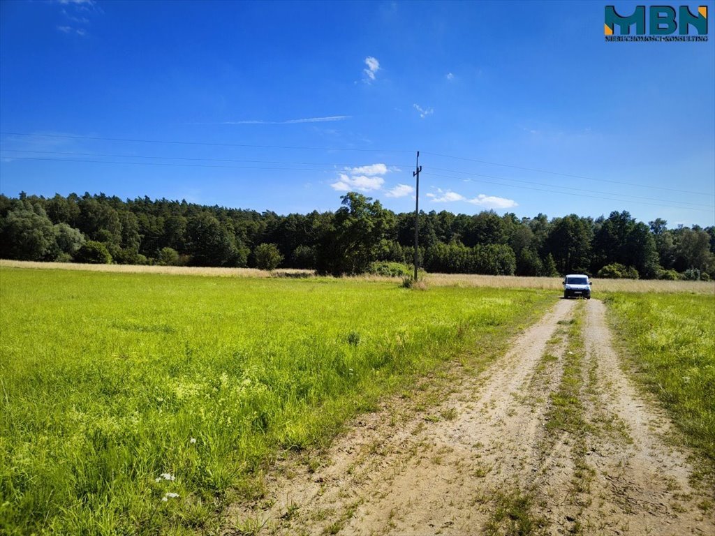 Działka budowlana na sprzedaż Harsz, Harsz  3 337m2 Foto 6