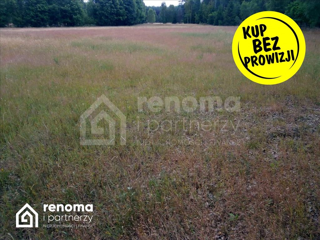 Działka gospodarstwo rolne na sprzedaż Powidz  5 900m2 Foto 2