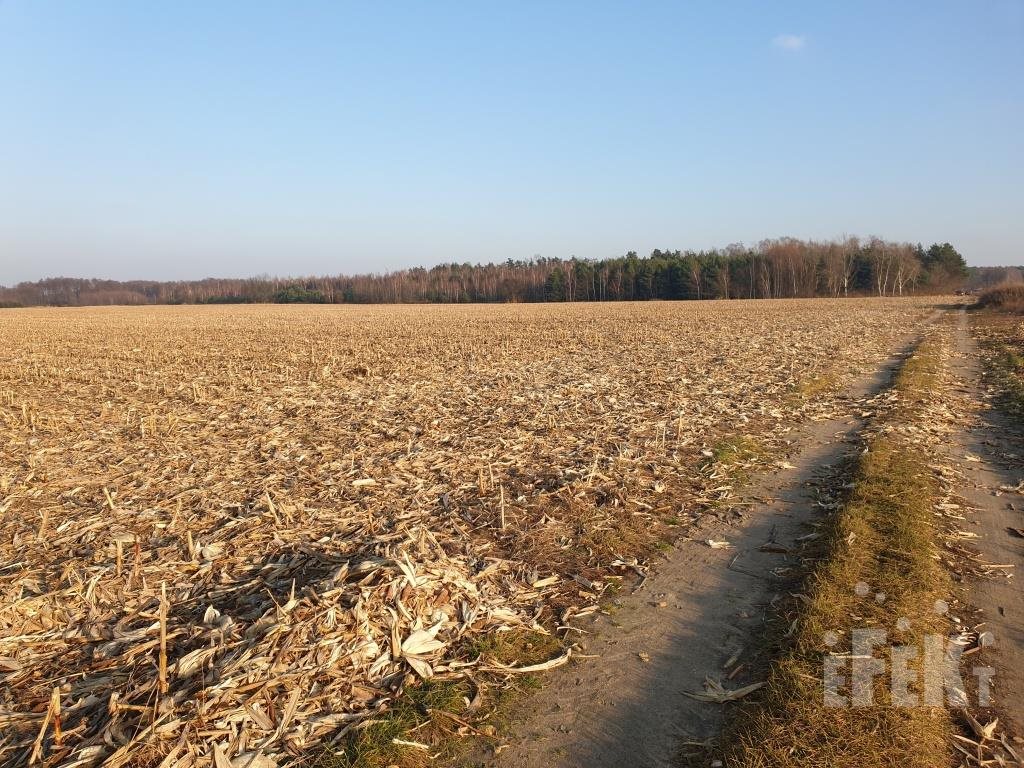 Działka rolna na sprzedaż Nowy Łajszczew  170 110m2 Foto 9