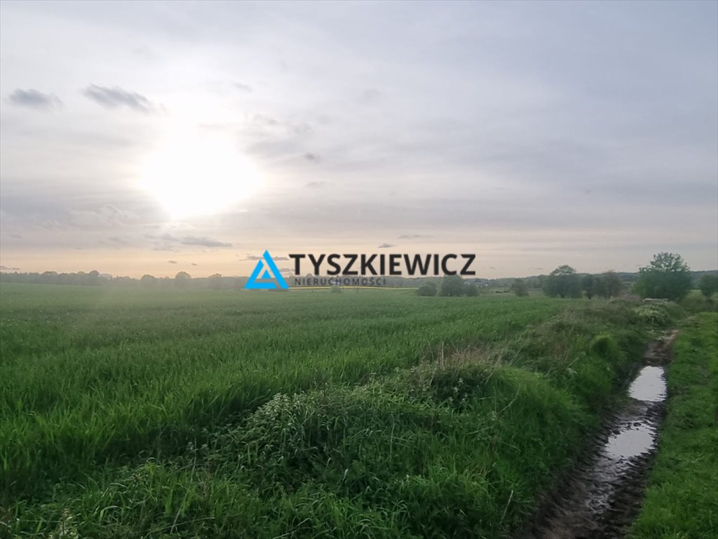 Duża działka rolna w Mierzeszynie – idealna pod gospodarstwo Mierzeszyn  115 200m2 Foto 1