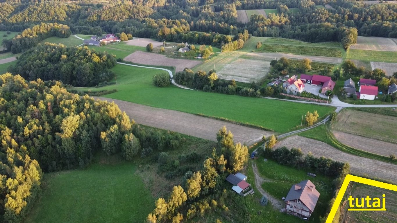 Działka siedliskowa na sprzedaż Melonek  41 400m2 Foto 8