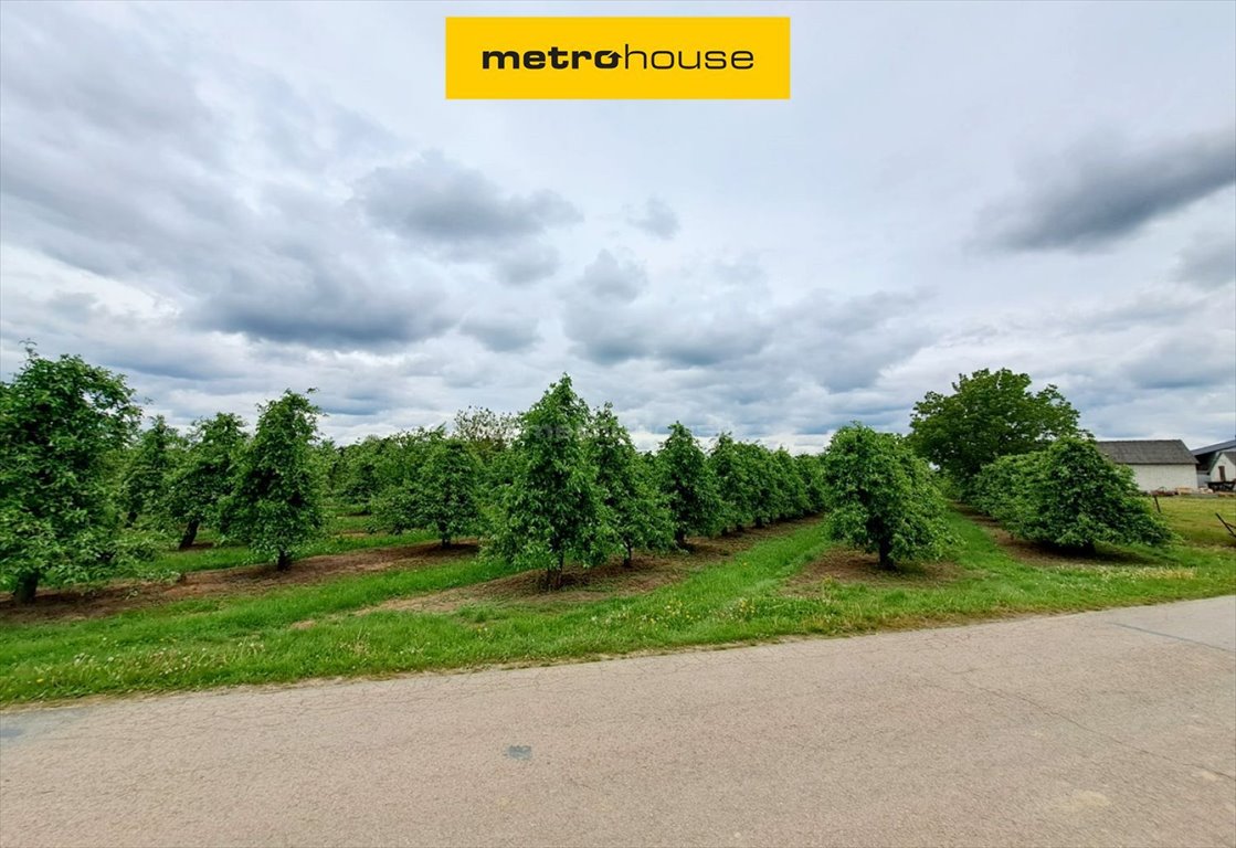 Działka budowlana na sprzedaż Skotniki, Rzemieślnicza  12 000m2 Foto 1