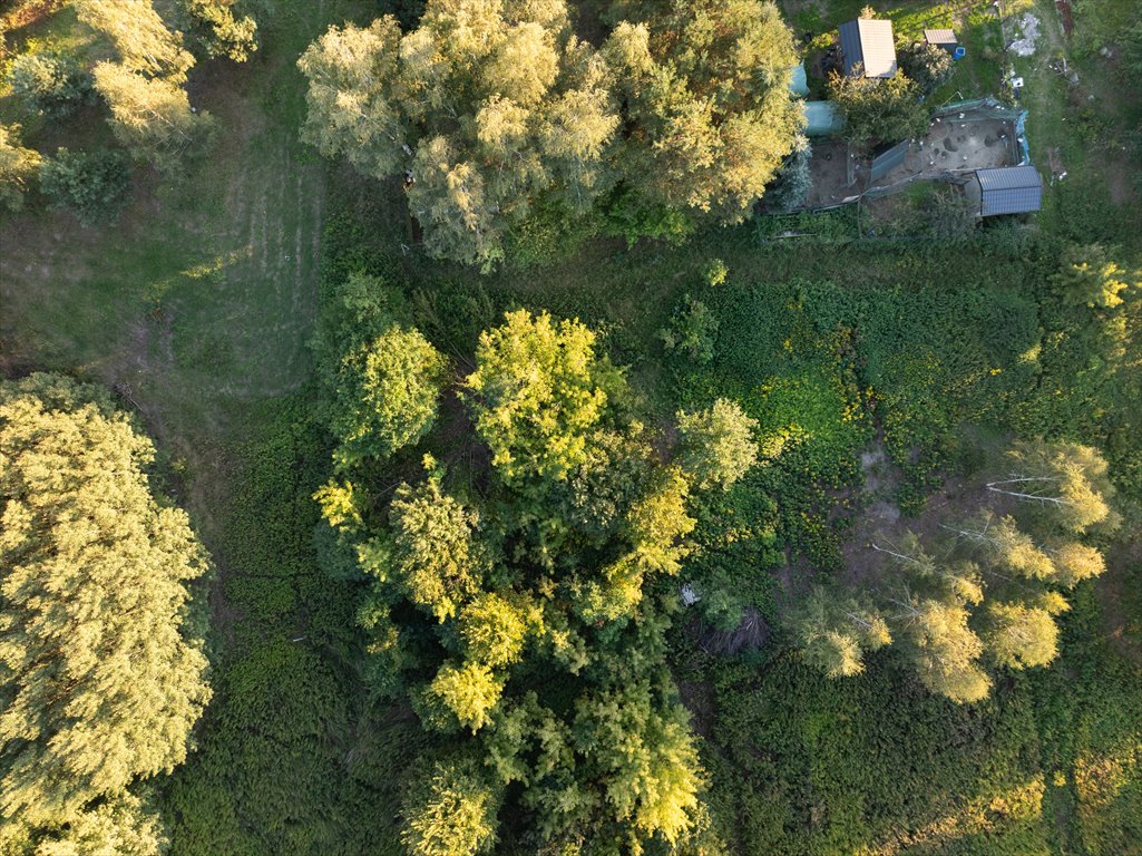 Działka budowlana 1094 m² w Borzęcinie Dużym - polecam! Borzęcin Duży  1 094m2 Foto 1