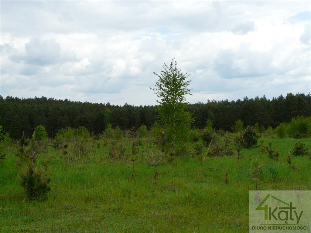 Działka 3061 m² przy lesie z mediami i możliwością zabudowy Dorotowo  3 061m2 Foto 1