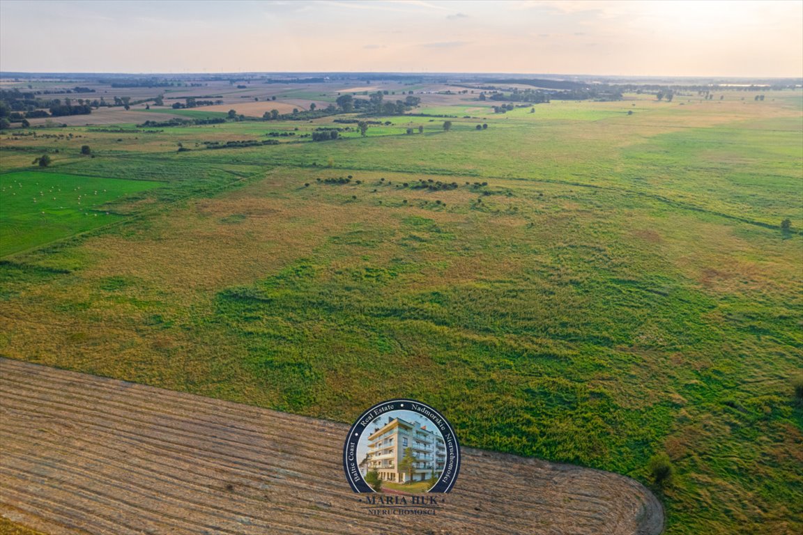 Działka gospodarstwo rolne na sprzedaż Ryszewo  13 500m2 Foto 12