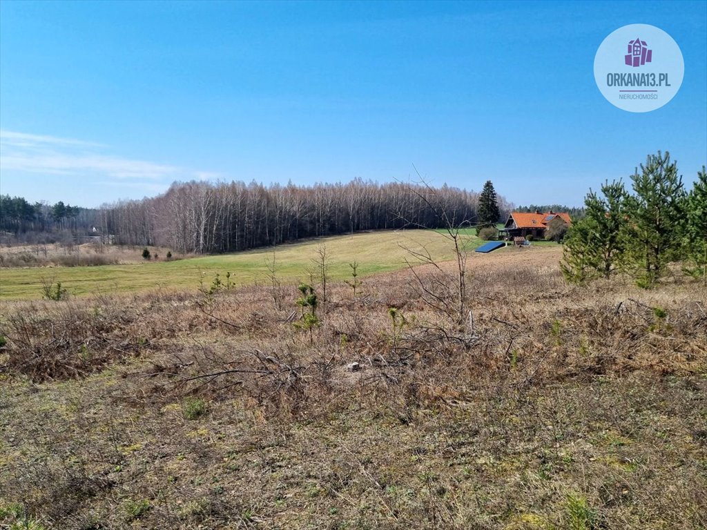 Działka rolna na sprzedaż Biesówko, Biesówko  4 093m2 Foto 11