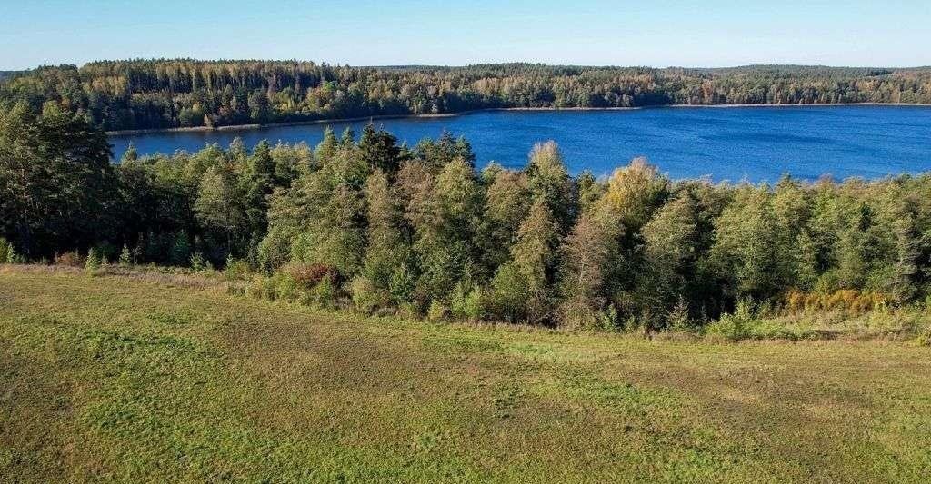 Działka rolna na sprzedaż Ramsowo  6 195m2 Foto 6