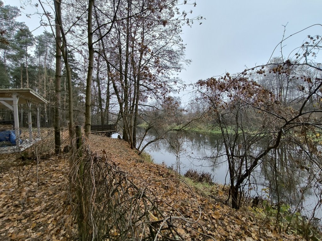 Działka rekreacyjna na sprzedaż Borkowo, Rzeczna  2 302m2 Foto 4