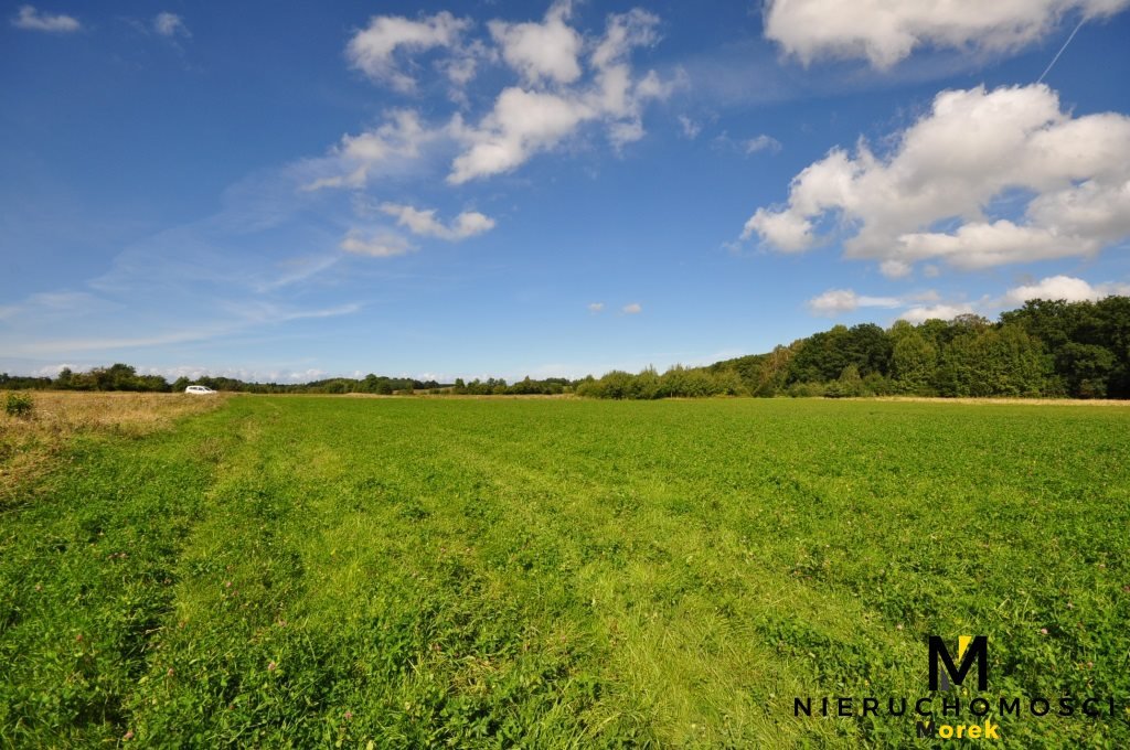 Działka inna na sprzedaż Smolne  3 097m2 Foto 8