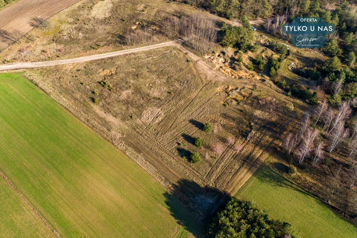 Działka rolna na sprzedaż Wilczków  13 536m2 Foto 4