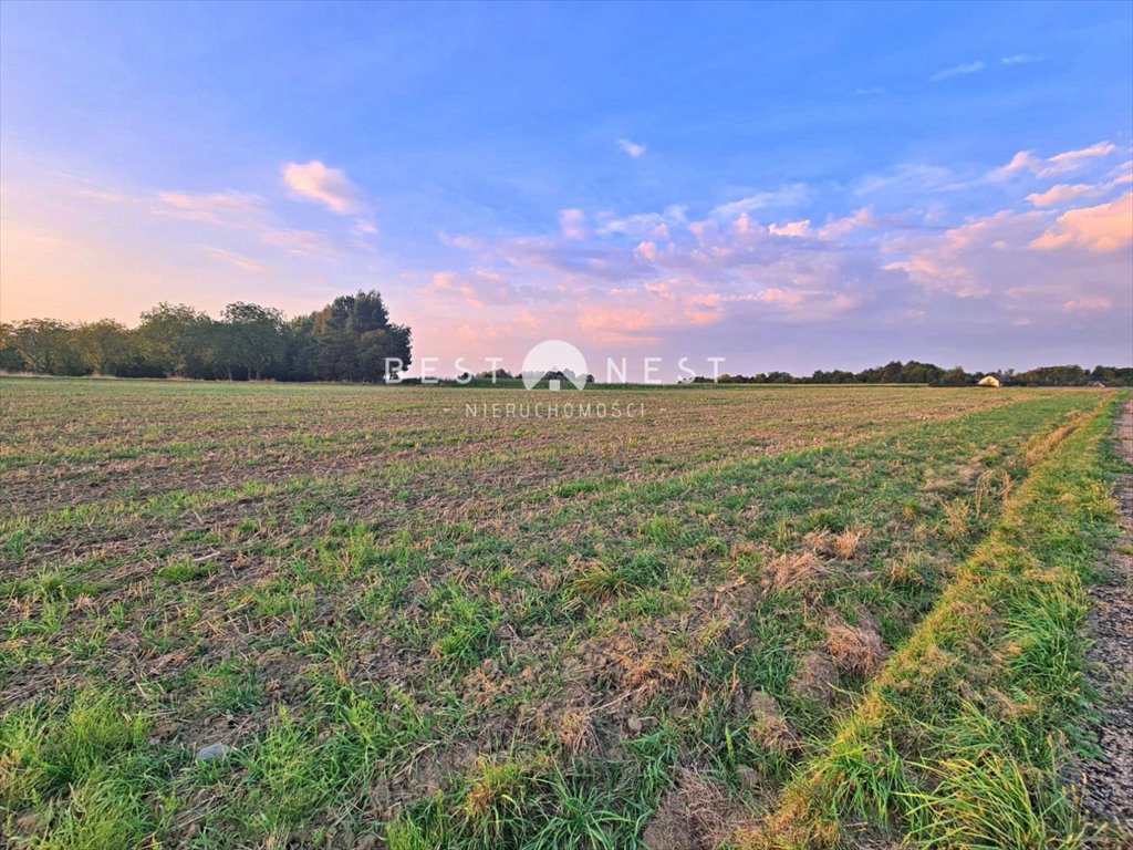 Działka budowlana na sprzedaż Jasienica  10 340m2 Foto 8