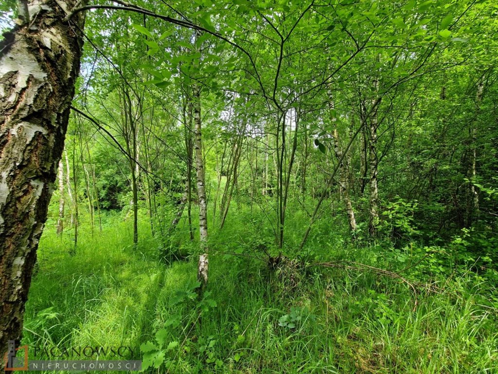 Działka budowlana na sprzedaż Owczary  1 335m2 Foto 3