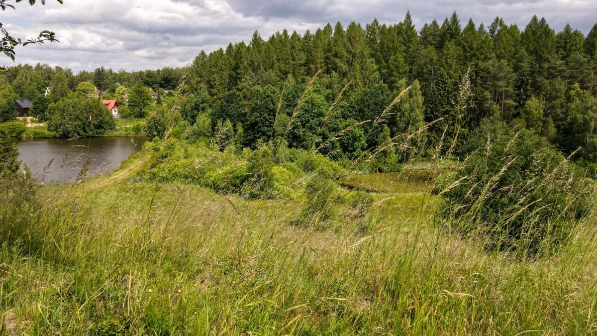 Działka budowlana na sprzedaż Gromadzin  3 143m2 Foto 10