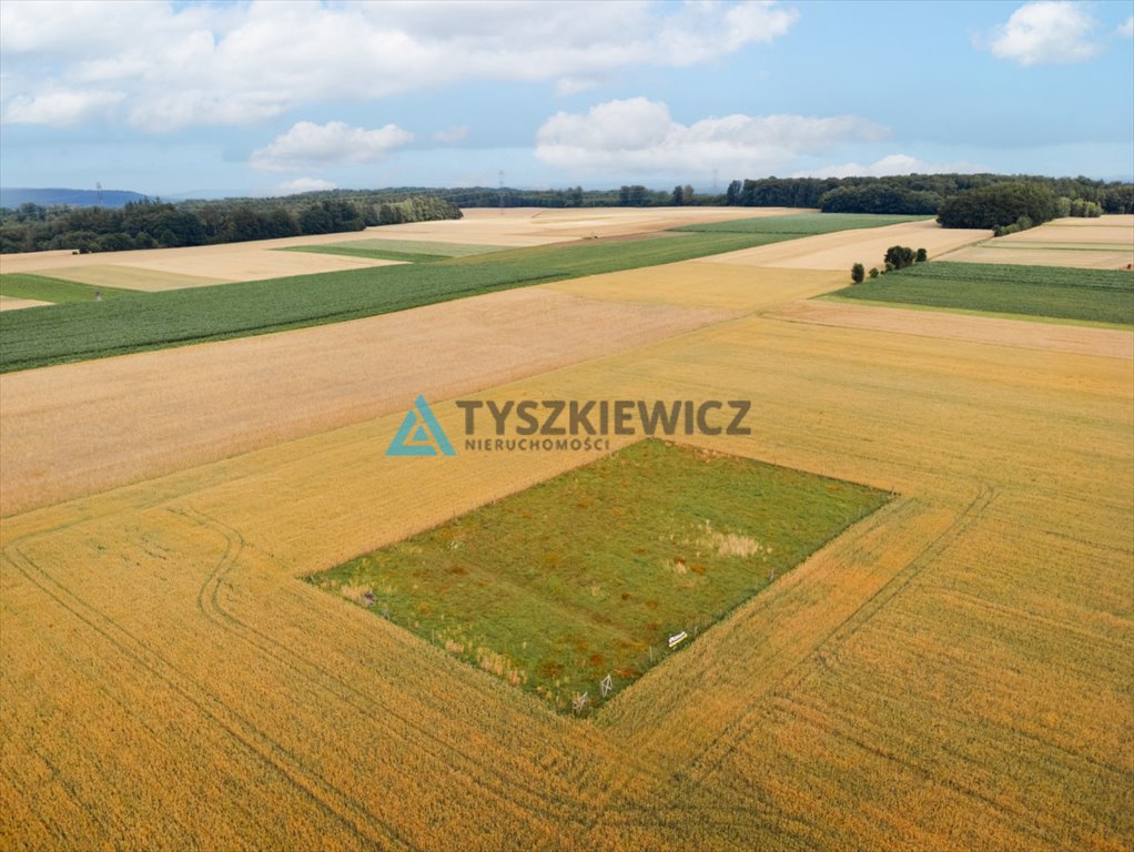 Działka budowlana na sprzedaż Góra, Słowińska  3 088m2 Foto 5