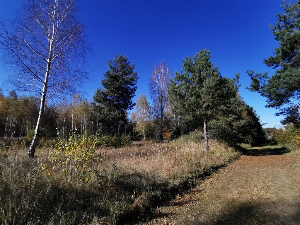 Działka budowlana na sprzedaż Częstochowa, Mirów, Hektarowa  1 089m2 Foto 1