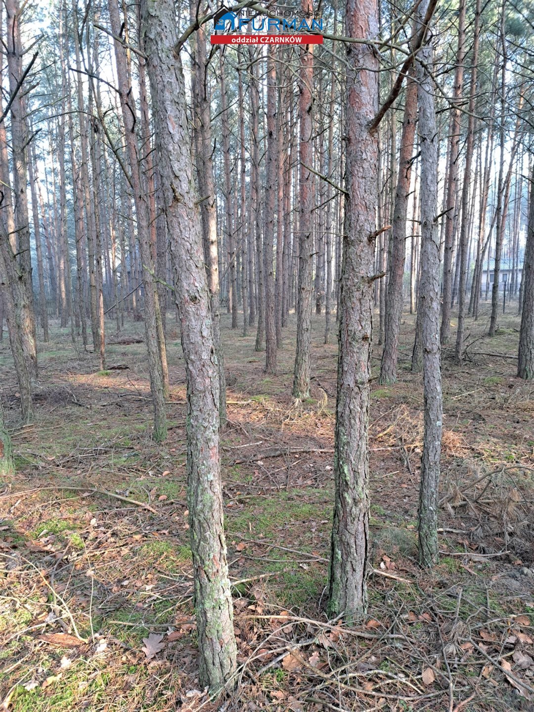 Działka inna na sprzedaż Biała  525m2 Foto 9