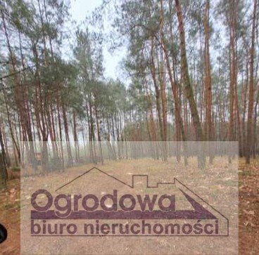 Działka 999 m² w Woli Polskiej, las, rzeka, MPZP Wola Polska  999m2 Foto 1