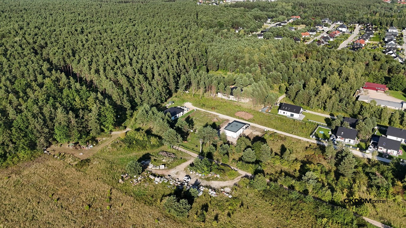 Zdjęcie 3
