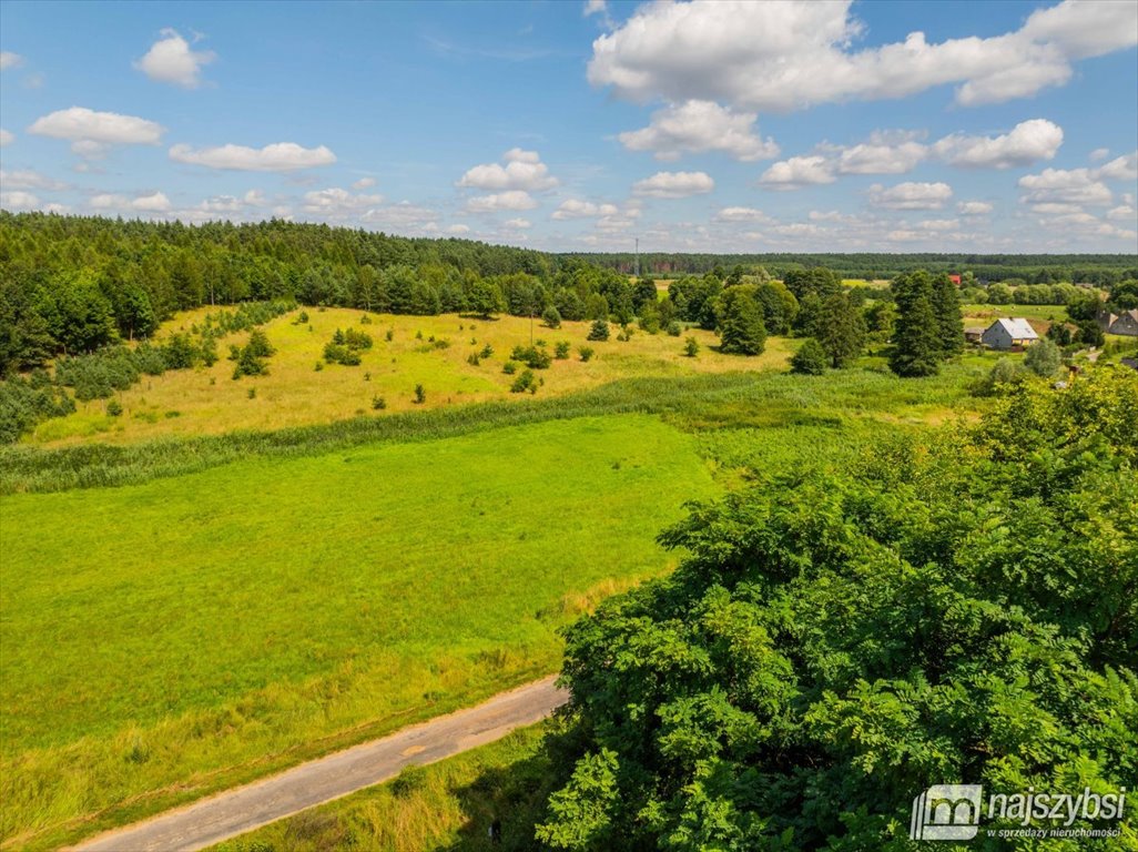 Działka rolna na sprzedaż Chojna  23 200m2 Foto 10