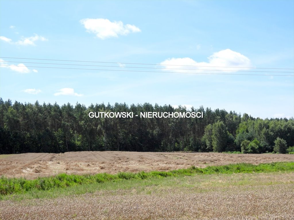 Działka rolna 1,62 ha z możliwością zabudowy w Ławicach Ławice  16 200m2 Foto 1