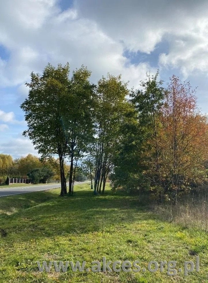 Polecam działkę rolną przy drodze asfaltowej, możliwość zakupu kilku sztuk Stary Łajszczew  5 000m2 Foto 1