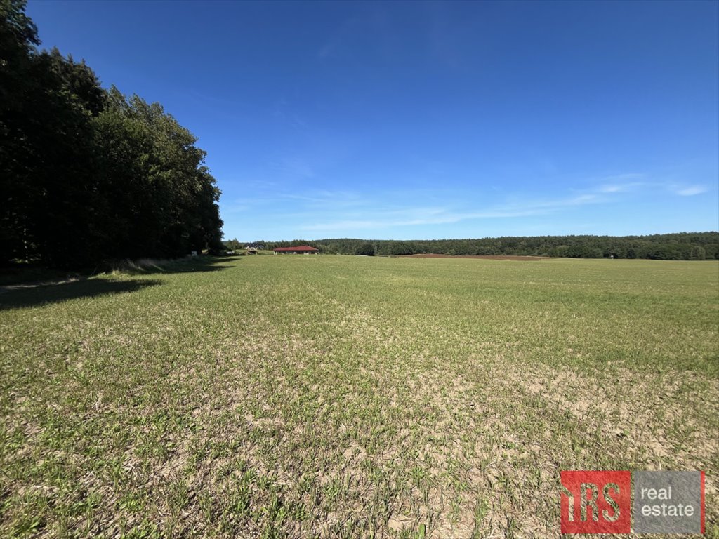 Działka budowlana na sprzedaż Niemierze  40 000m2 Foto 3