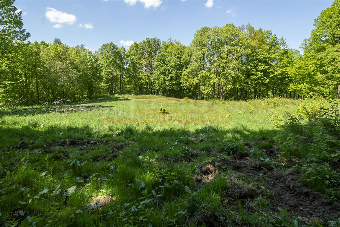 Działka inna na sprzedaż Jarnołtówek  4 250m2 Foto 1