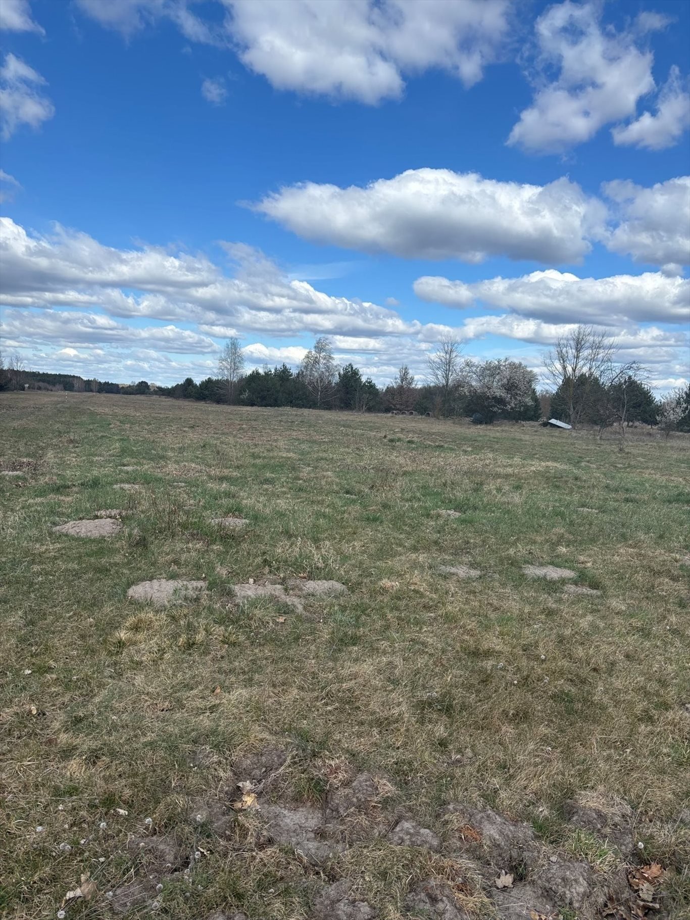 Działka budowlana na sprzedaż Zalesie  1 100m2 Foto 1