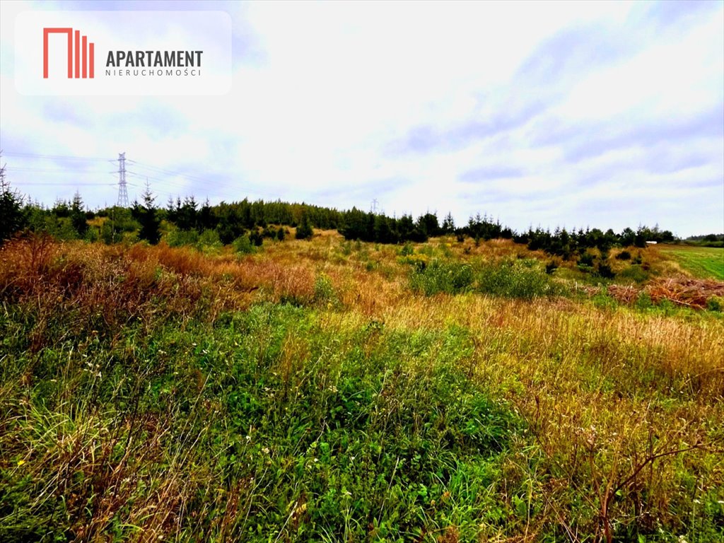 Działka budowlana na sprzedaż Kolincz  1 507m2 Foto 4