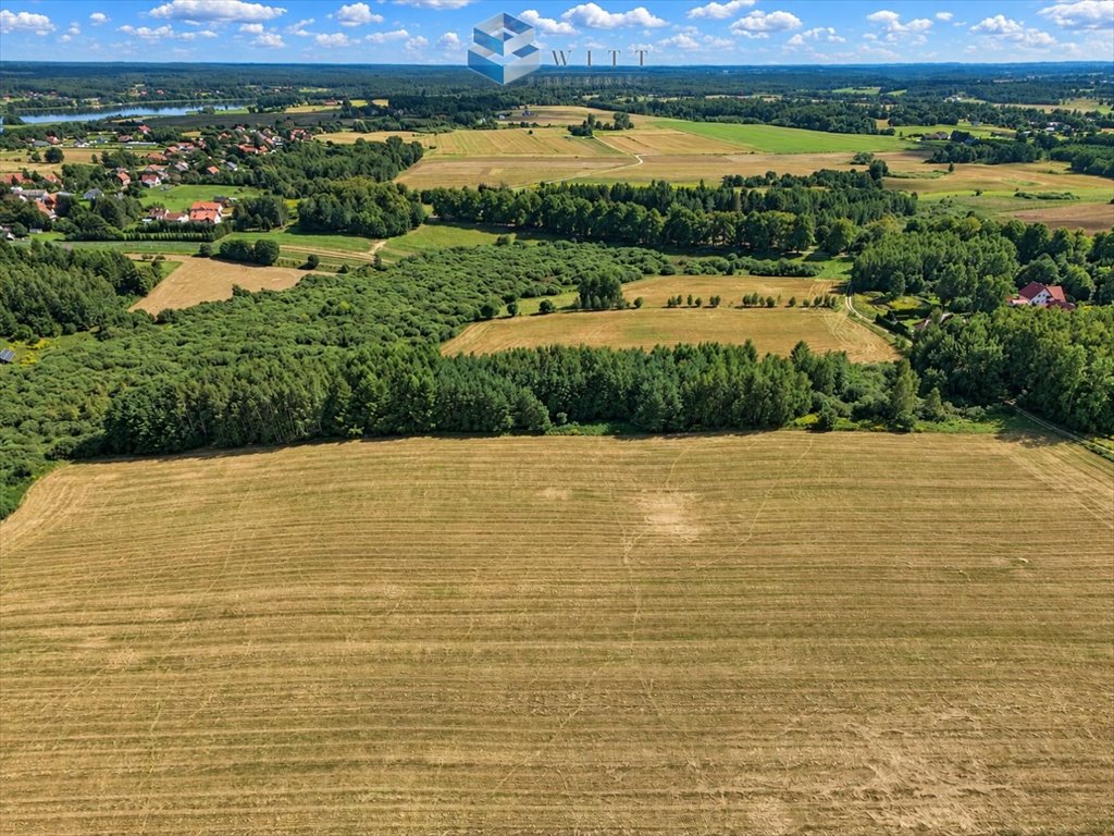 Zdjęcie 5
